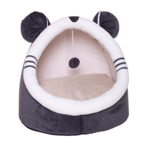 Small Teddy dog closed villa pet
