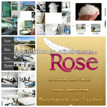 feather cushion core
