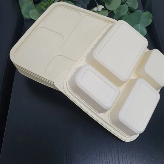 Eco-Friendly cornstarch Packaging food Containers