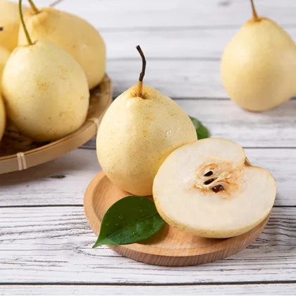 New Crop Fresh Ya Pear