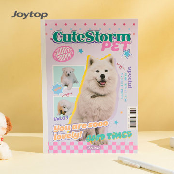 Joytop 101847 Wholesale Cute B5 Lined Pages in Wireless Binding