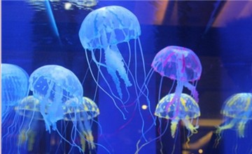 silicone simulation jellyfish