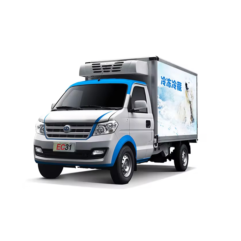 Light truck DFSK EC31 Light truck DFSK EC31
