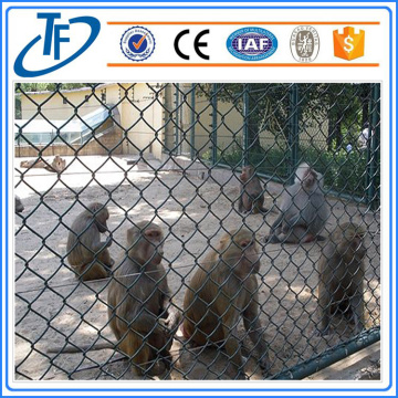 High Quality Chain link netting