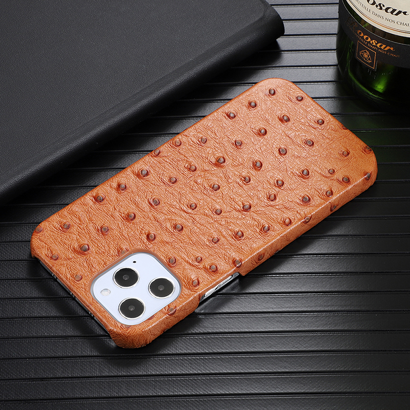 phone case store