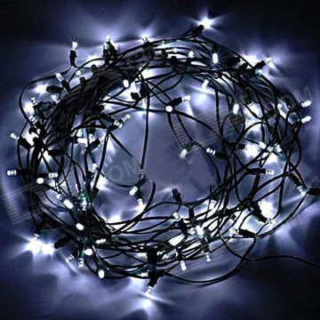 LED Festival string light Waterproof Indoor Christmas rope Light