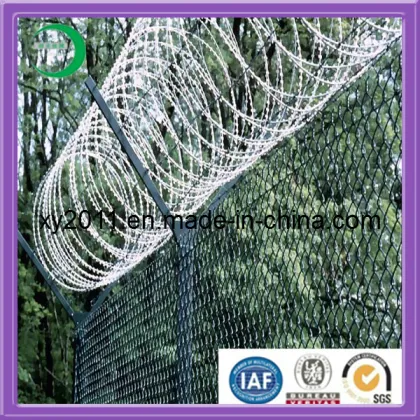 High Quality Razer Barbed Fence