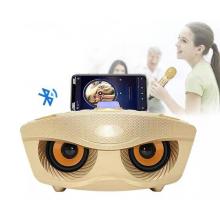 Cute And Cool Owl Home Karaoke Speaker