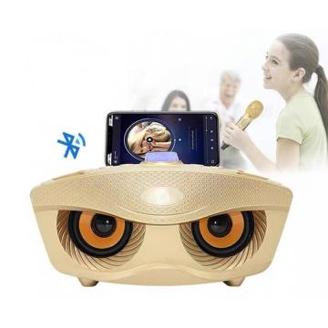 Karaoke-Lautsprecher 30w-Lautsprecher mit Mikrofon