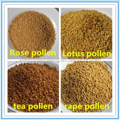 Sunflower Bee Pollen