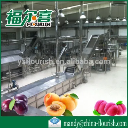 full automatic industrial plum puree producing line