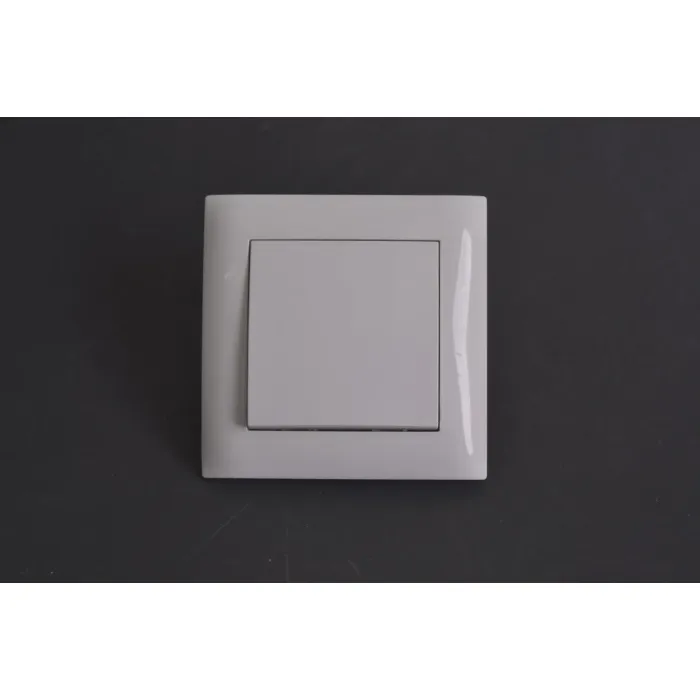 Sakelar EU 1-Gang 10A yang Dipasang di Flush