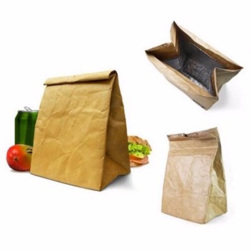 Tyvek Lunch Cooler Paper Bag with closure