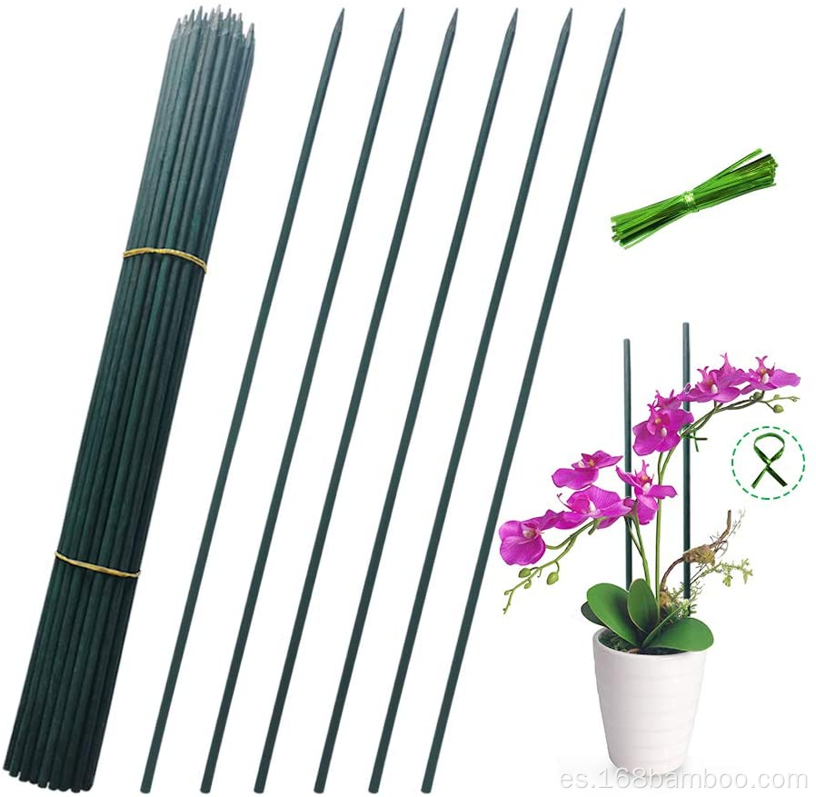 Soporte de plantas Pelocas florales Sticks de jardín Estaca de bambú