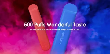 New Arrival Coolplay 500 Puff Indoor Dispsable Vape