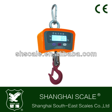 0.5ton Crane Scale