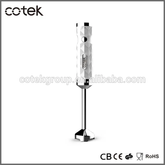 Beauty Blender/Juicer Blender