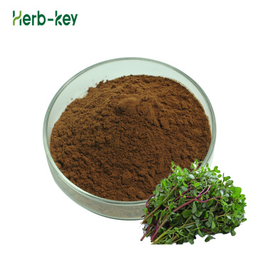 Perubatan Herba Alam Purslane Extract