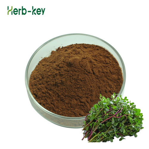 Nature Herb Medicine Orgrase de hierbas extracto de hierbas