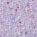 ຜ້າແພຖັກແສ່ວ Heathered Lilac Sequin