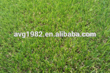 Fake Grass Lawn for Decoration