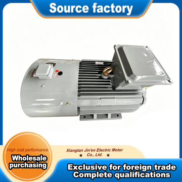 Wide speed range 3 phase induction motor