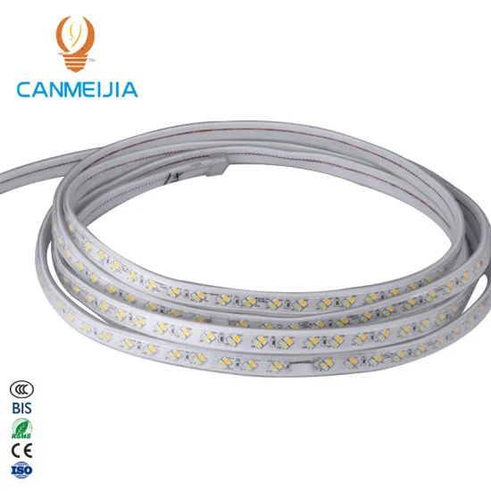 220V 5730 White Warm White Blue Purple Flexible Double Row 120Chips/m LED Strip Lights