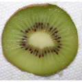 Agua soluble puro de actinidia natural kiwi fruta polvo