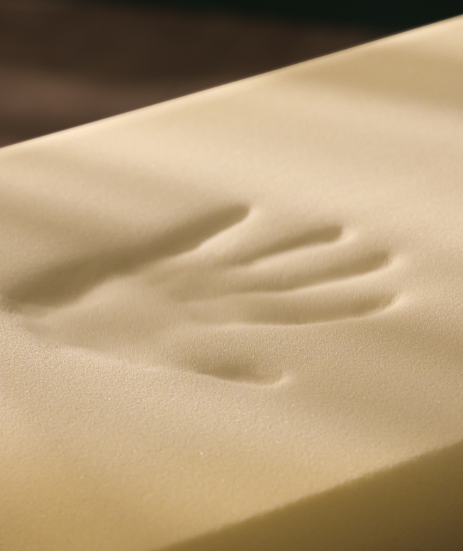 Comfort Inn And Suites Neck Pillows