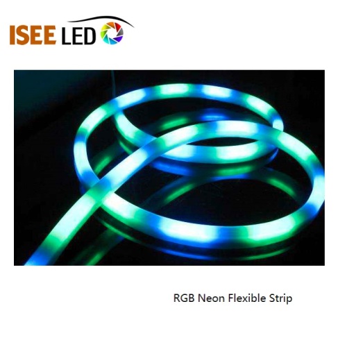 DC24V chống thấm nước kỹ thuật số RGB Led Neon Flex