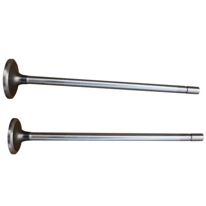 Diesel engine parts valve for Detroit