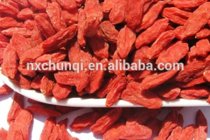 NEW CROP SUPERFOOD GOJI BERRY