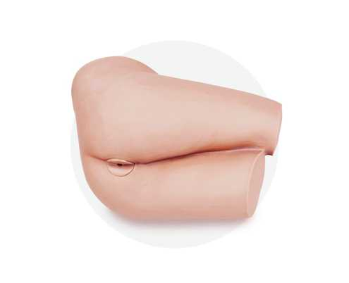 Rectal Touch Model|