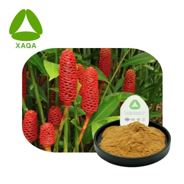 Zingiber Zerumbet Extract Zerumbone Powder