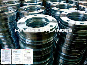 PN16 EN1092-1 Type 02 Loose Flange