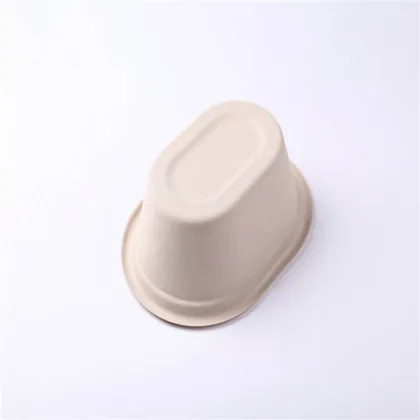 Biodegradable Fast Food Container/Food Box/Lunch Box