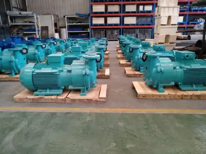 2BV2060 Single Stage ELMO Liquid Water Ring Vacuum Pump with Water Separation Tank