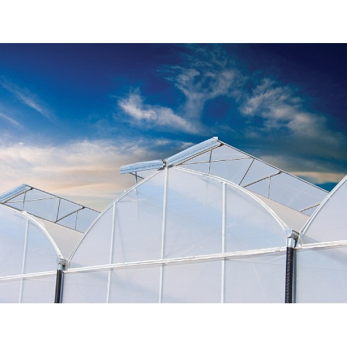 Greenhouse de filme plástico multi-span serrilhado para vegetais