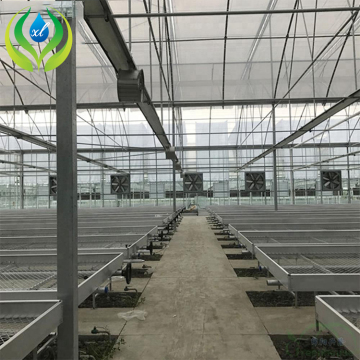 MYXL Hydroponic Tables: Indoor Growing System with Wire Mesh Flood Trays and 4x8 Rolling Bench