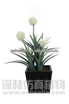 artificial Hoya Archboldiana plant