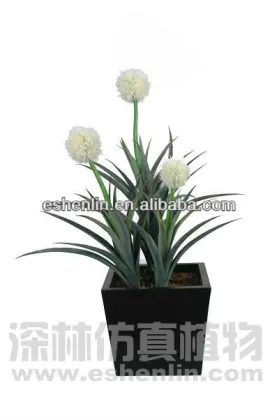 artificial Hoya Archboldiana plant