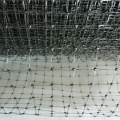 Plastic Square Anti Bird Netting