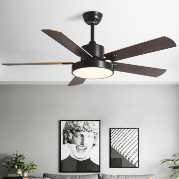 Ventile del soffitto a caldo ecojas con luci a LED e telecomando