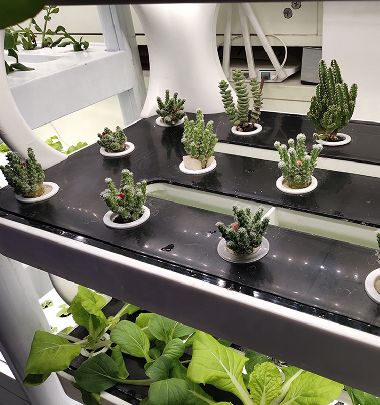 Manufacturing greenhouse indoor Vertical smart Hydroponic