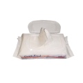 Hot Selling Non Woven Cleaning Adult Wet Wipes