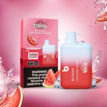 Bang BC 5000 Puffs Pen Vape Disposer