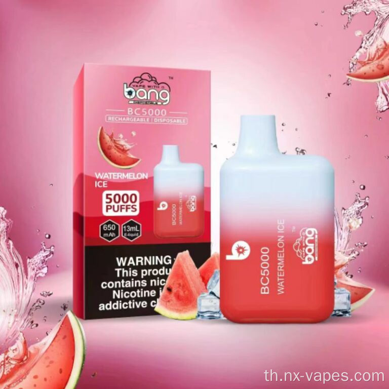 Bang BC 5000 Puffs Pen Vape Disposer