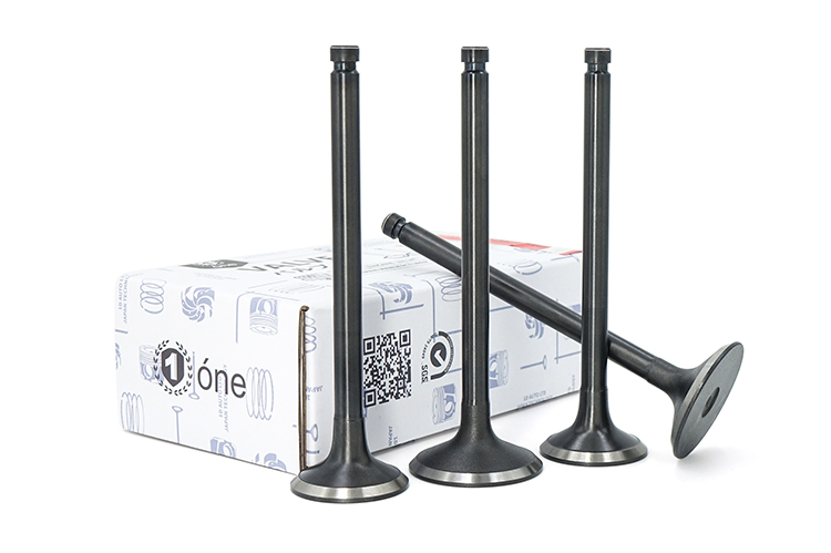 MITSUBISHI 6D14 Engine Valves 