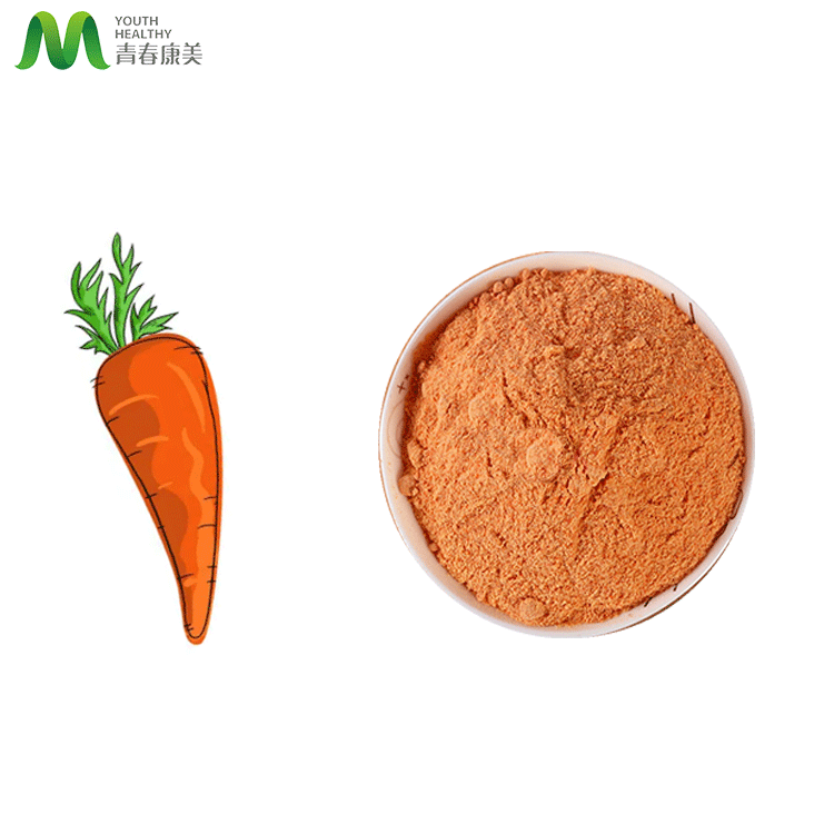 Caroot Juice Powder Competitive Price