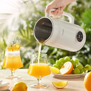 OIDIRE 6-in-1 Soy Milk and Baby Food Maker 2024
